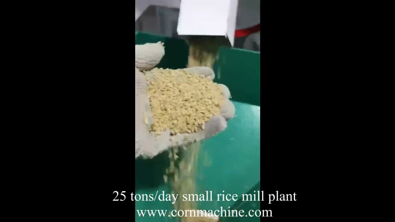 fully automatic rice mill plant cost setup in India mini rice milling plant manufacturer